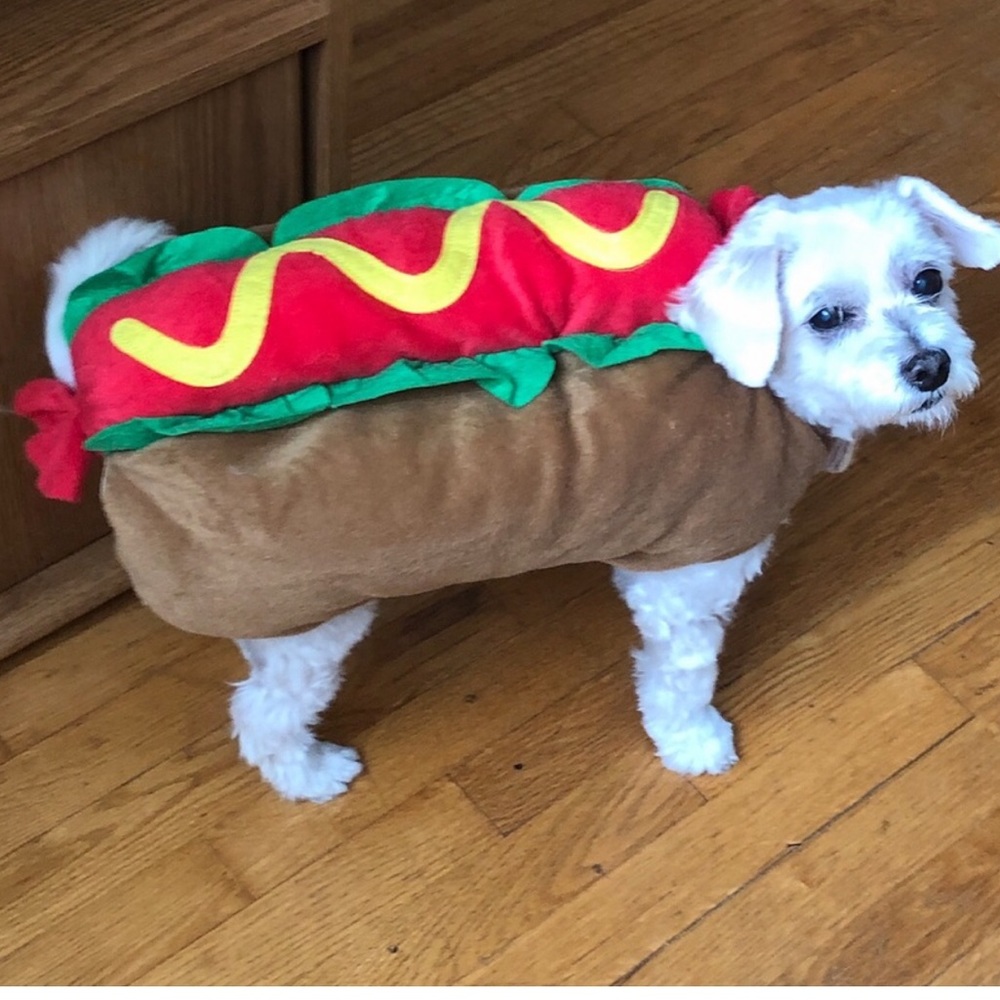 Dog Halloween costume Hotdog Costume